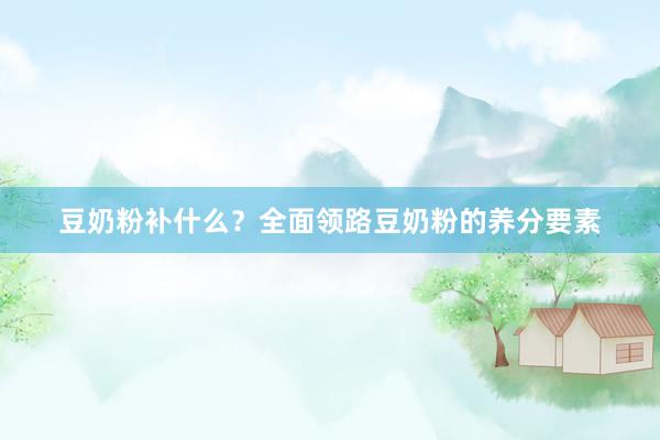 豆奶粉补什么？全面领路豆奶粉的养分要素